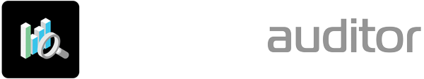 Groundswell Agentic Auditor